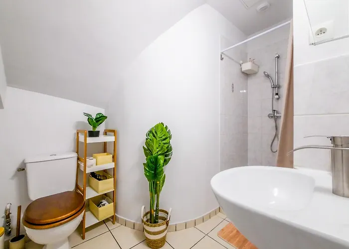 Appartement Chouette